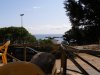 Sardinien2011 (243).JPG