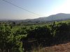 Weingut chinzana.jpg Weingut chinzana.jpg