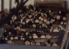 Holzstapel.JPG