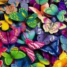 schmetterling