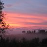 Susanna71