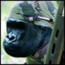 BukerHUP