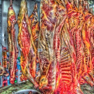 Mattatoio in Alà dei Sardi al campo di festa.