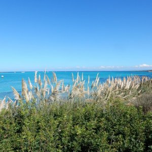 DSCN3188.JPG