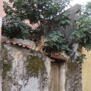 Altstadt Siniscola