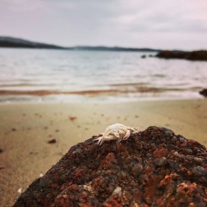 8537B508-3B2D-4B80-8CEA-05CA56E6F788.jpeg