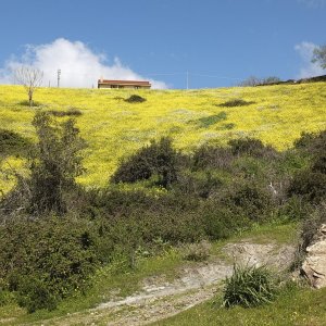 primavera 2018-1.JPG