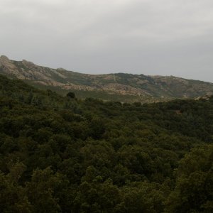 DSC07289a.JPG