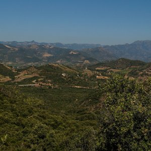 DSC07341a.JPG