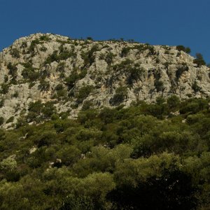 Monte Pittaine über SMN