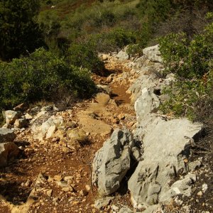 "Pilgerweg" zum Kreuz über SMN