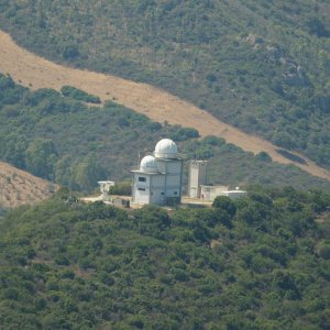 großer Bruder bei Quirra