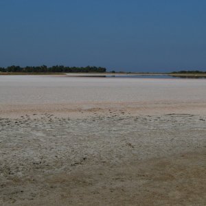 Saline in Torre de Salinas
