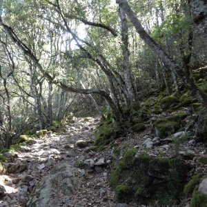 0034-SetteFratelli.jpg