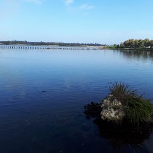 20190102_115334.jpg