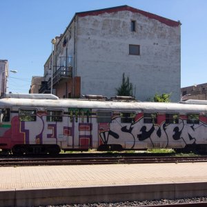 IMG_0115.jpg