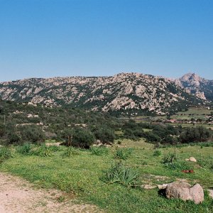 F1000001.JPG