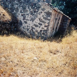 F1000014.JPG