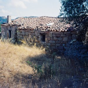 F1000015.JPG
