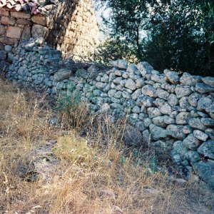 F1000016.JPG