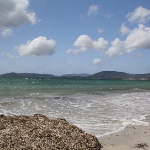 Alghero_Stadtstrand_1.jpg