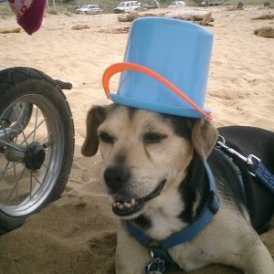 2007_Mai_Best_of_Sardinien (210).JPG