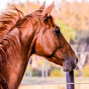 20150609-IMG_20150609_191426 (Klein).jpg