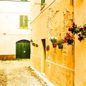 20150608-IMG_20150608_155435 (Klein).jpg