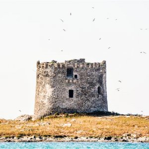 20150610-IMG_20150610_164710 (Klein).jpg