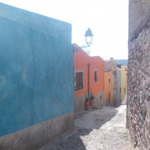 Sardinien 2013 4-887.jpg