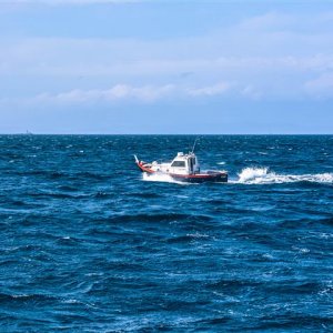 DSC_2027 (Klein).jpg