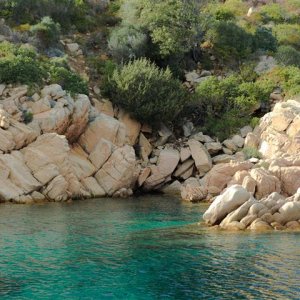 DSC_2100 (Klein).jpg