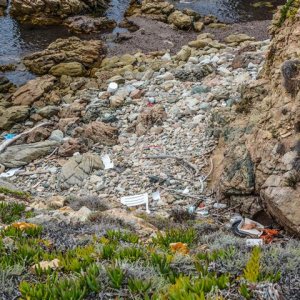 DSC_2477 (Klein).jpg