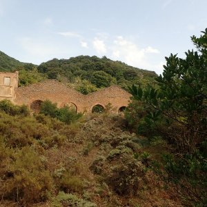 P9161388.JPG