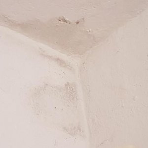 rps20190611_140841.jpg