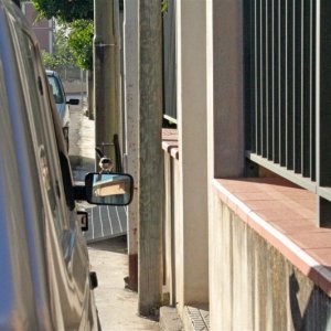 IMG_0706_edited (2).JPG