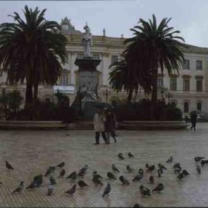 dias02 sardinien 038.jpg