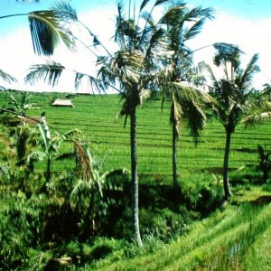 PICT0069.JPG