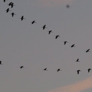 IMG_7326.JPG