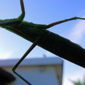 DSCN0499kl.JPG