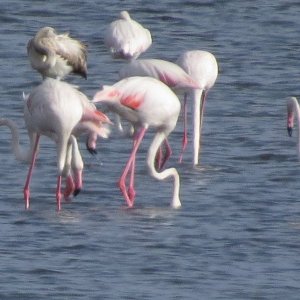 IMG_1977.JPG