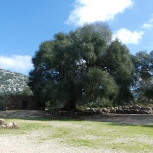 P1000795.jpg