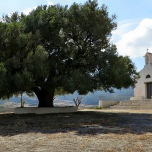 IMG_3868.JPG