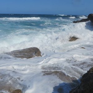 IMG_5753.JPG