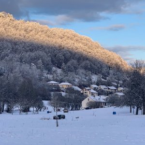 IMG_6587.jpeg