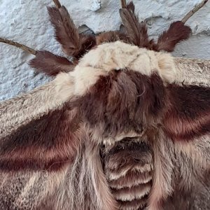 WhatsApp Image 2021-05-11 at 09.38.21 (1).jpeg