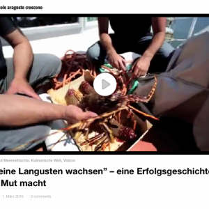 Bildschirmfoto 2016-03-13 um 09.04.44.png