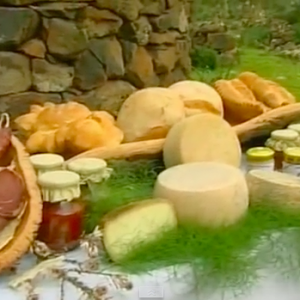 Bildaus Vide Gastronomia sarda 2015-07-12 .png