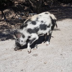 Bilder SamsungG7 2653.jpg
