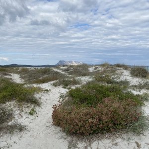 B65B1774-1BEF-4F4E-8996-EA19F5231E90.jpeg